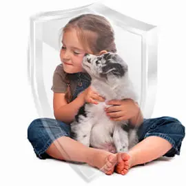 Защита БелДезЦентр