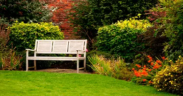 Услуги дезинсекции в Республике Беларусь